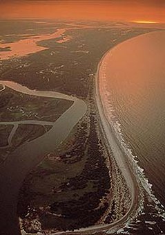 Kiawah has ten miles of beach