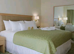  - Orchard Garden Hotel San Francisco