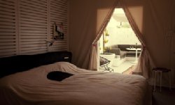  - Ace Hotel & Swim Club Palm Springs