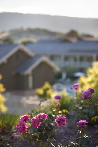 ROSEWOOD SAND HILL - Photo 14