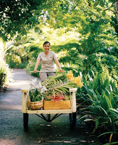 RAYAVADEE - Photo 65