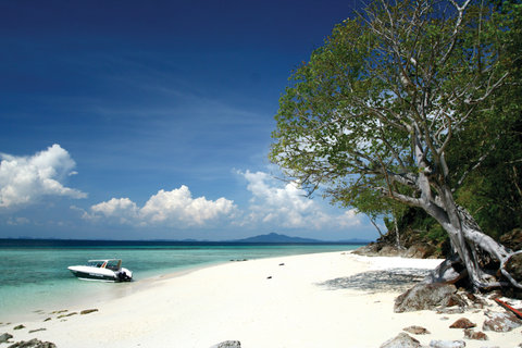 RAYAVADEE - Photo 60