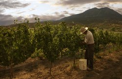  - Dunton Hot Springs Resort Dolores