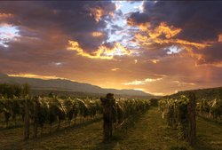  - Dunton Hot Springs Resort Dolores