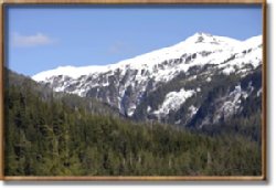  - Cape Fox Lodge Ketchikan