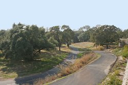  - Holiday Inn Express & Suites Roseville - I-80, Exit 105