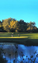  - Arrowwood Resort & Conf. Center Alexandria