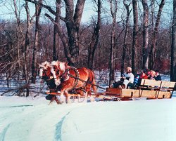  - Arrowwood Resort & Conf. Center Alexandria