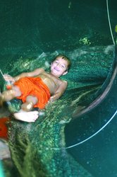  - Arrowwood Resort & Conf. Center Alexandria