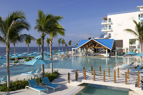 Pool Swimupbar