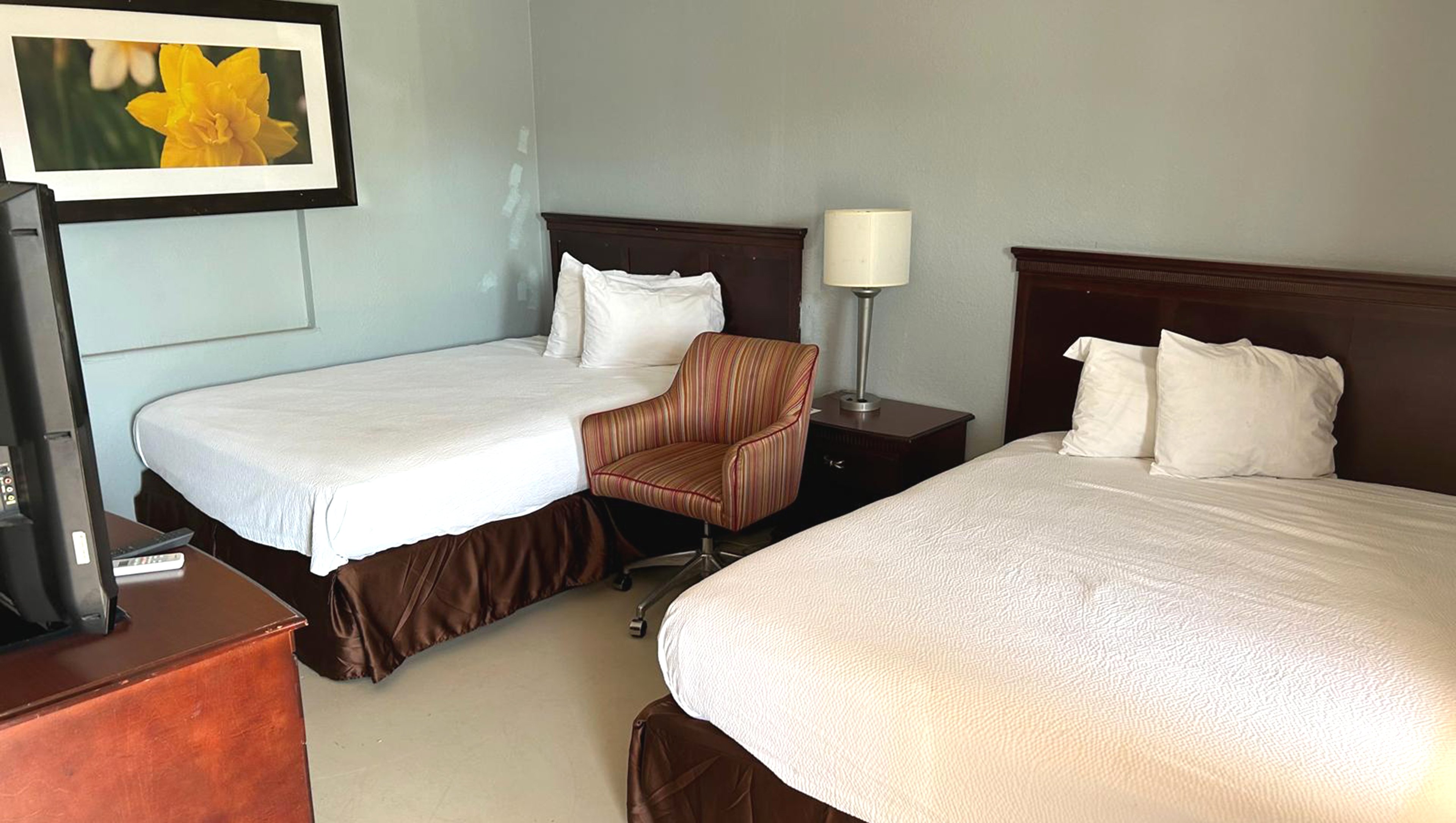 Stevens Motel-guestroom-Two Queen Beds.jpg