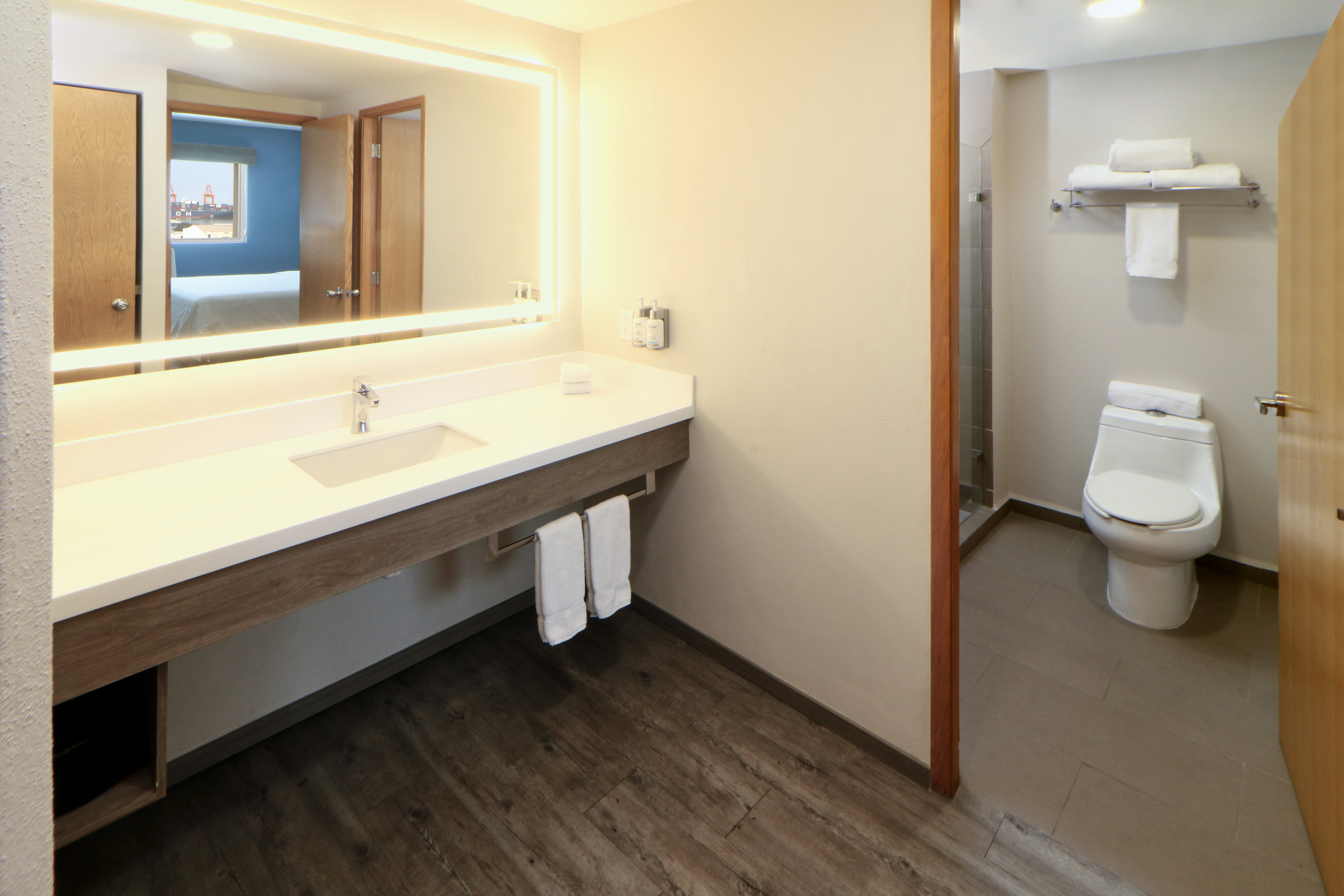 HOLIDAY INN EXP MANZANILLO BY IHG-guestroom-Guest Bathroom.jpg