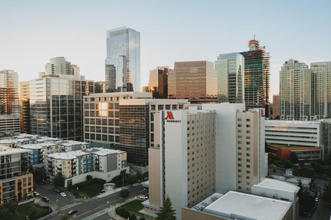 Skyline Splendor