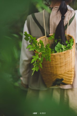 SU SHIEN VALLEY - Photo 6