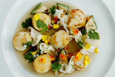 Dish