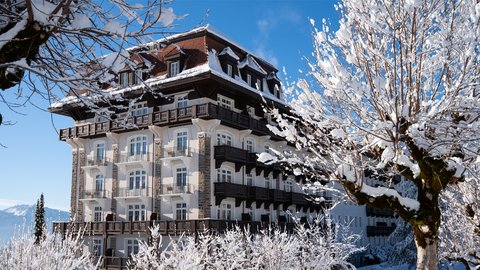 VILLARS PALACE - Photo 4