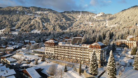 VILLARS PALACE - Photo 5