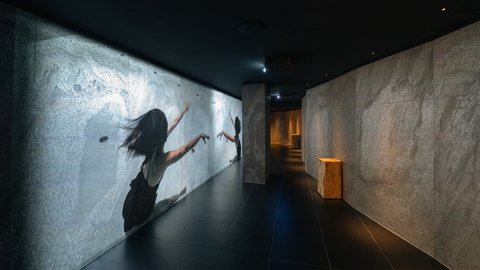 VILLARS PALACE - Photo 41