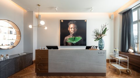 VILLARS PALACE - Photo 47