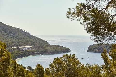 FOUR SEASONS RESORT MALLORCA AT FORMENTOR - Photo 19