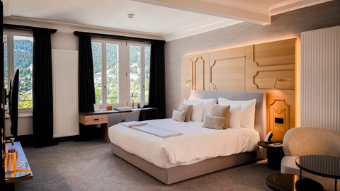 VILLARS PALACE - Photo 91