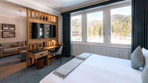 VILLARS PALACE - Photo 105