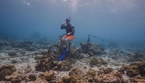Sun Siyam Olhuveli Snorkeling