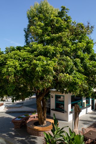 HUANG YAN 36 HOTEL - Photo 92