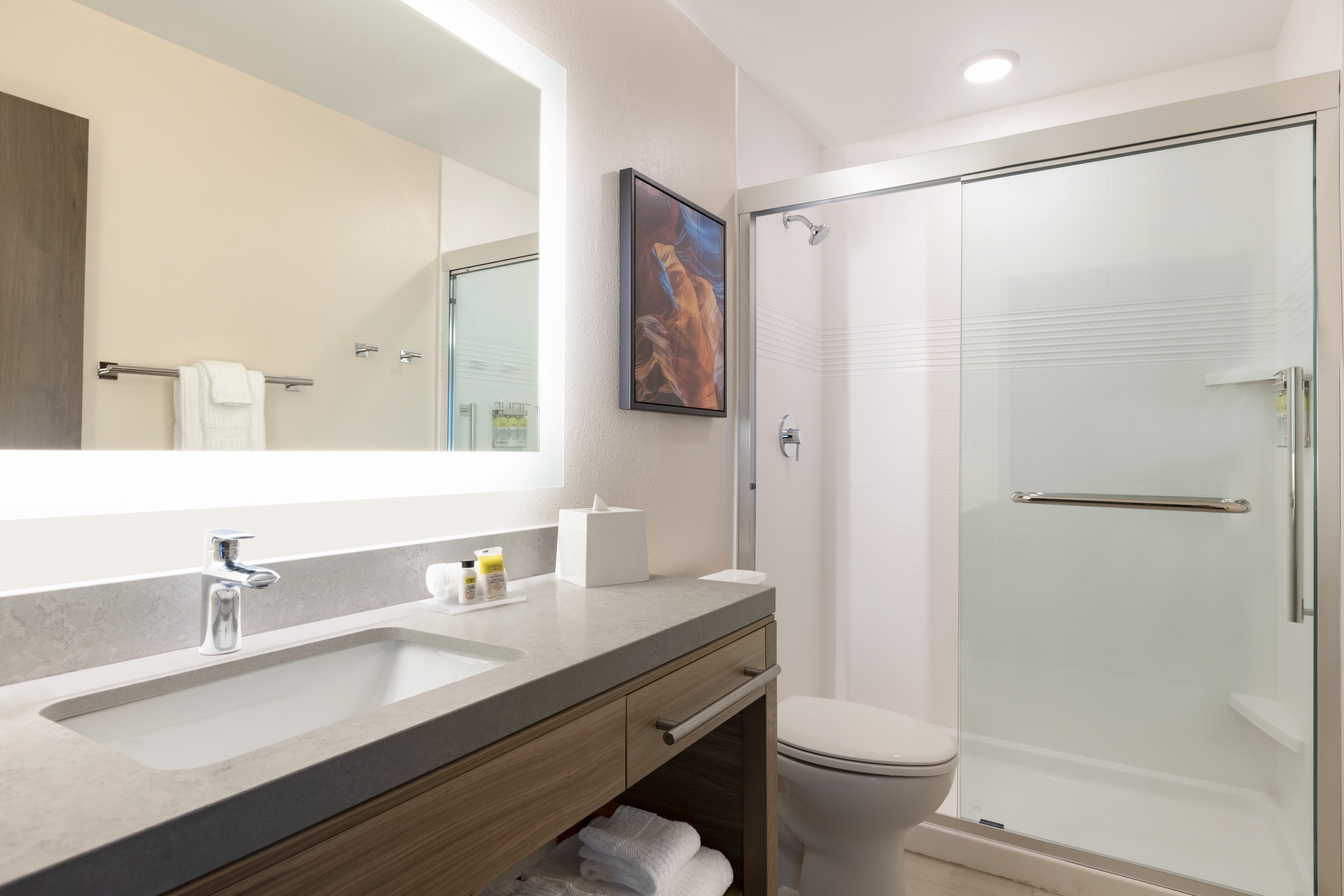 CANDLEWOOD STES PECOS BY IHG-guestroom-Guest Bathroom.jpg