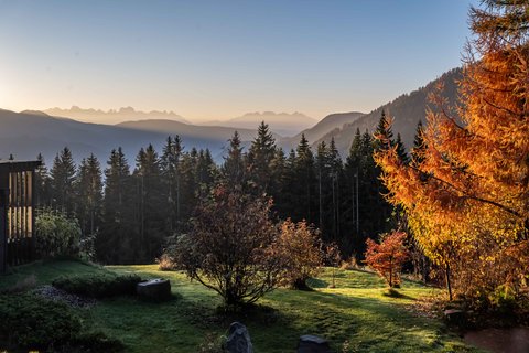 TERRA - THE MAGIC PLACE - Photo 38