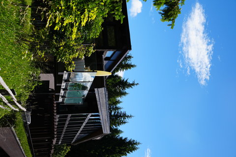 TERRA - THE MAGIC PLACE - Photo 42