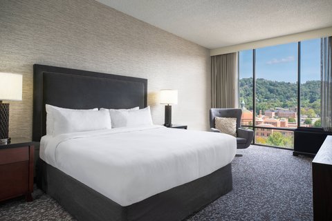 King Guest Room - Smokey Mountains View