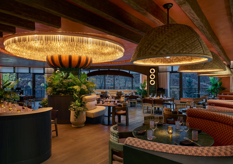 VICEROY SNOWMASS - Photo 86