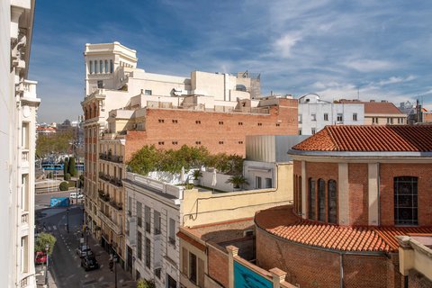 THE PALACE A LUXURY COLLECTION HOTEL MADRID - Photo 192