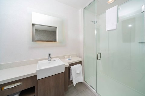 Suite Bathroom - Walk-In Shower