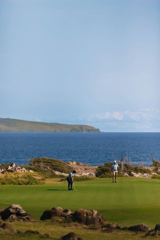 THE RITZ-CARLTON KAPALUA - Photo 231