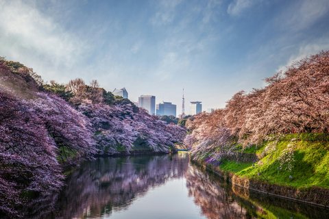 FOUR SEASONS TOKYO AT OTEMACHI - Photo 38