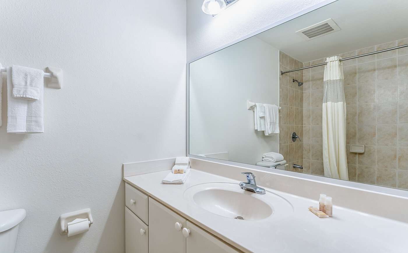 South River Suites Hotel-guestroom-1 BRM Suite HND Queen Studio Bath Vanity.jpg