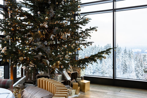CRANS AMBASSADOR - Photo 81