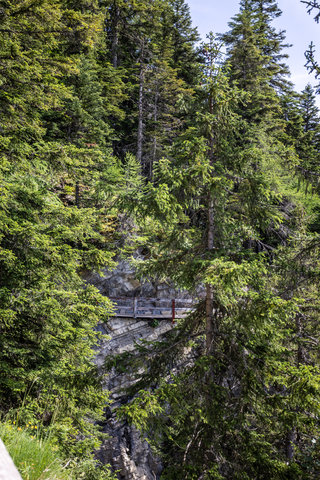 CRANS AMBASSADOR - Photo 83