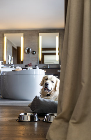 CRANS AMBASSADOR - Photo 85