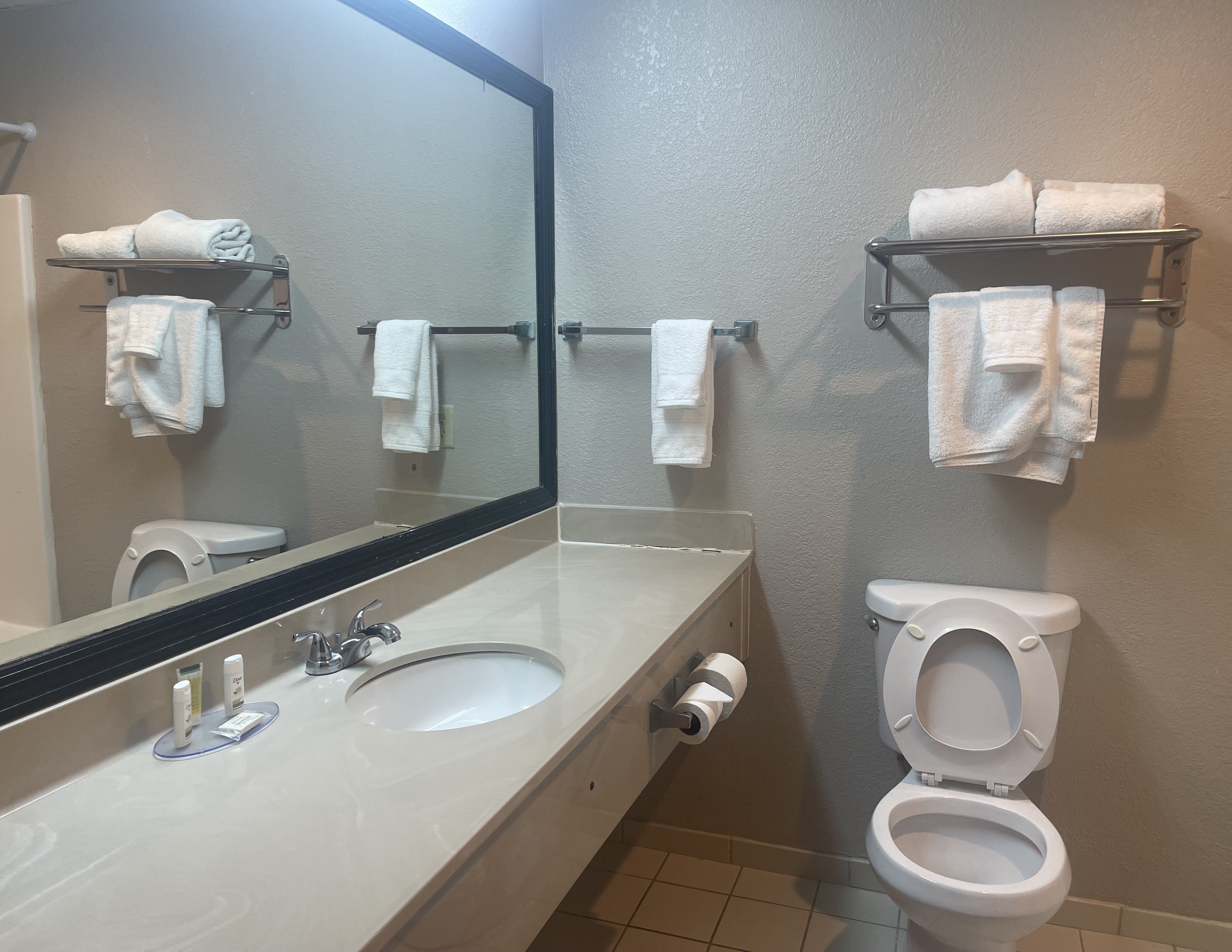 RED ROOF SUITES HINESVILLE-guestroom-Bathroom.jpg
