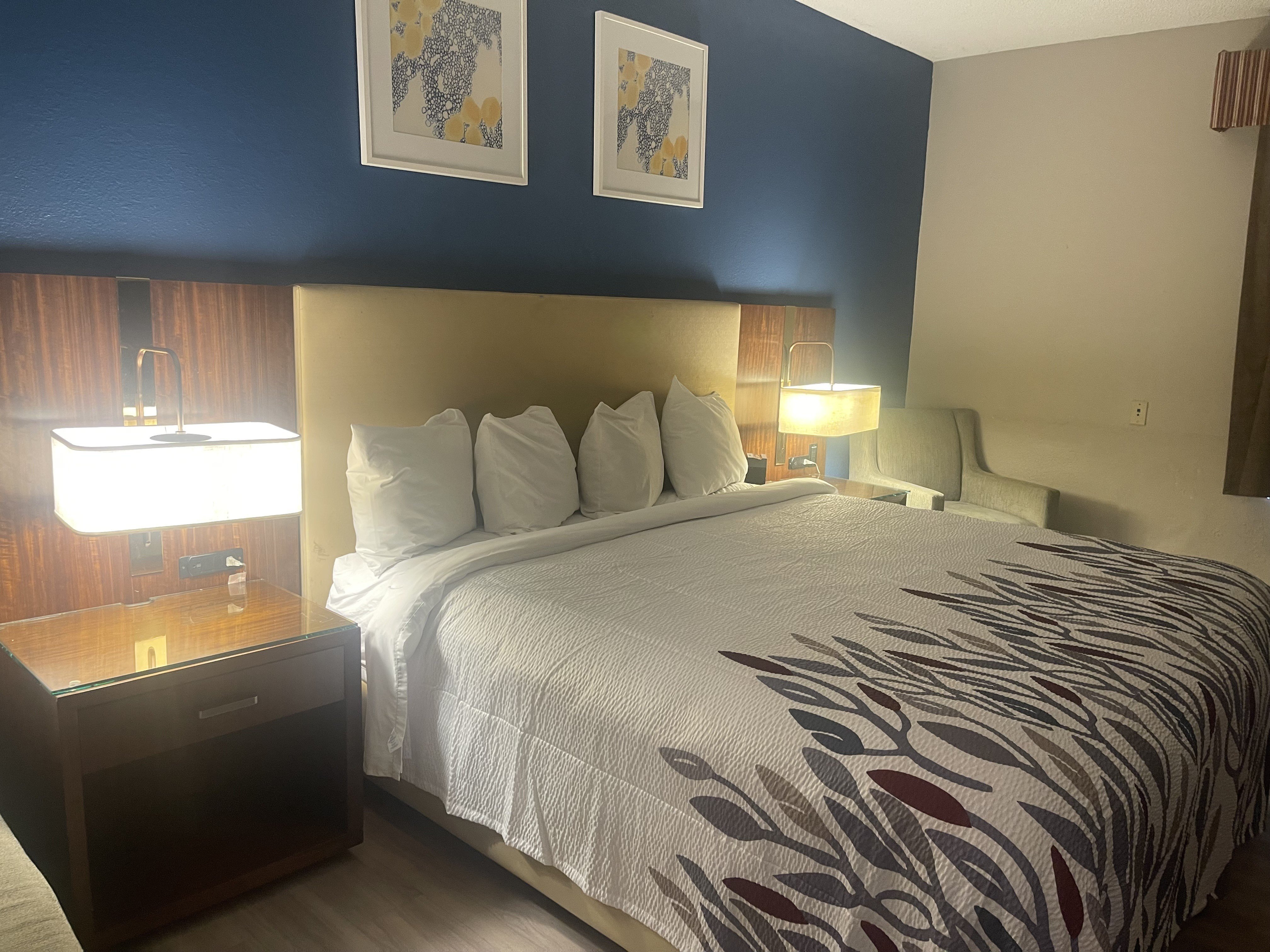 RED ROOF SUITES HINESVILLE-guestroom-Superior King.jpg