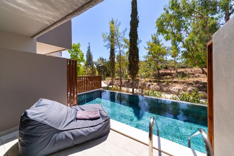 Superior Swim Up - Pool