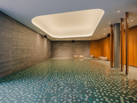 SIX SENSES CRANS MONTANA - Photo 71
