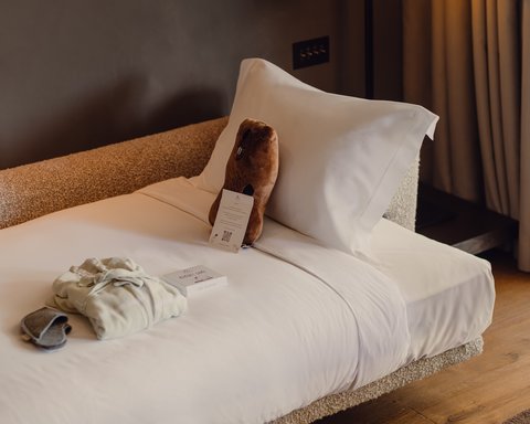SIX SENSES CRANS MONTANA - Photo 75