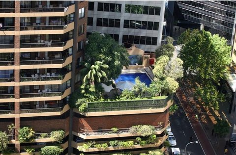 Pool Birds eye view