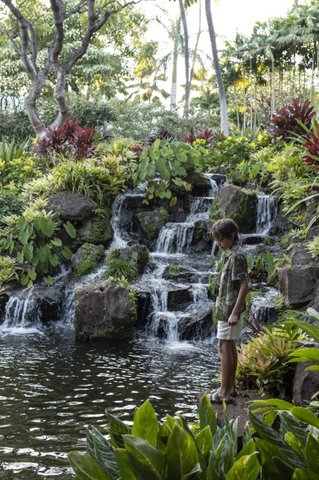 FOUR SEASONS RESORT LANAI - Photo 97