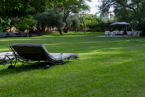 RELAX AREA