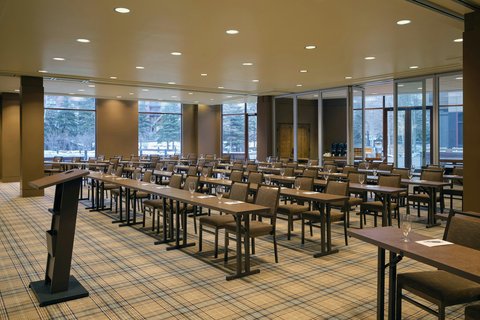 THE WESTIN RIVERFRONT RESORT - Photo 72